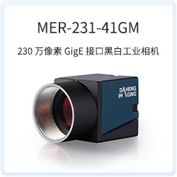 MER-231-41GM