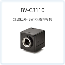 BV-C3110