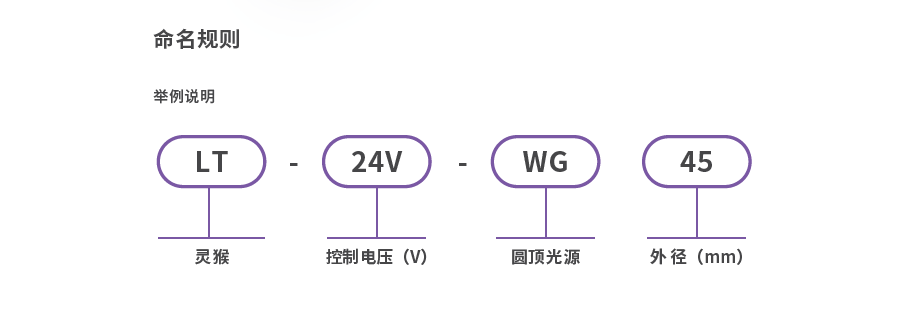 圆顶光源-1.png