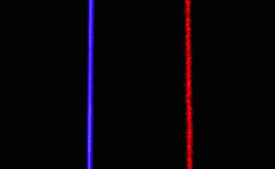 微信图片_20220601092734.gif