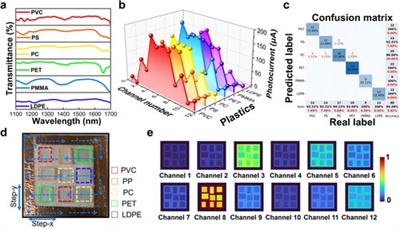 lpor202300475-fig-0005-m.jpg