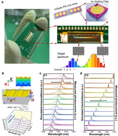 lpor202300475-fig-0001-m.jpg