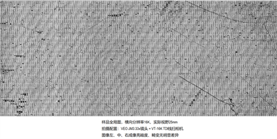微信图片_20240701164156.png
