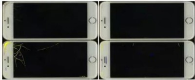 360截图20241119142921953.jpg