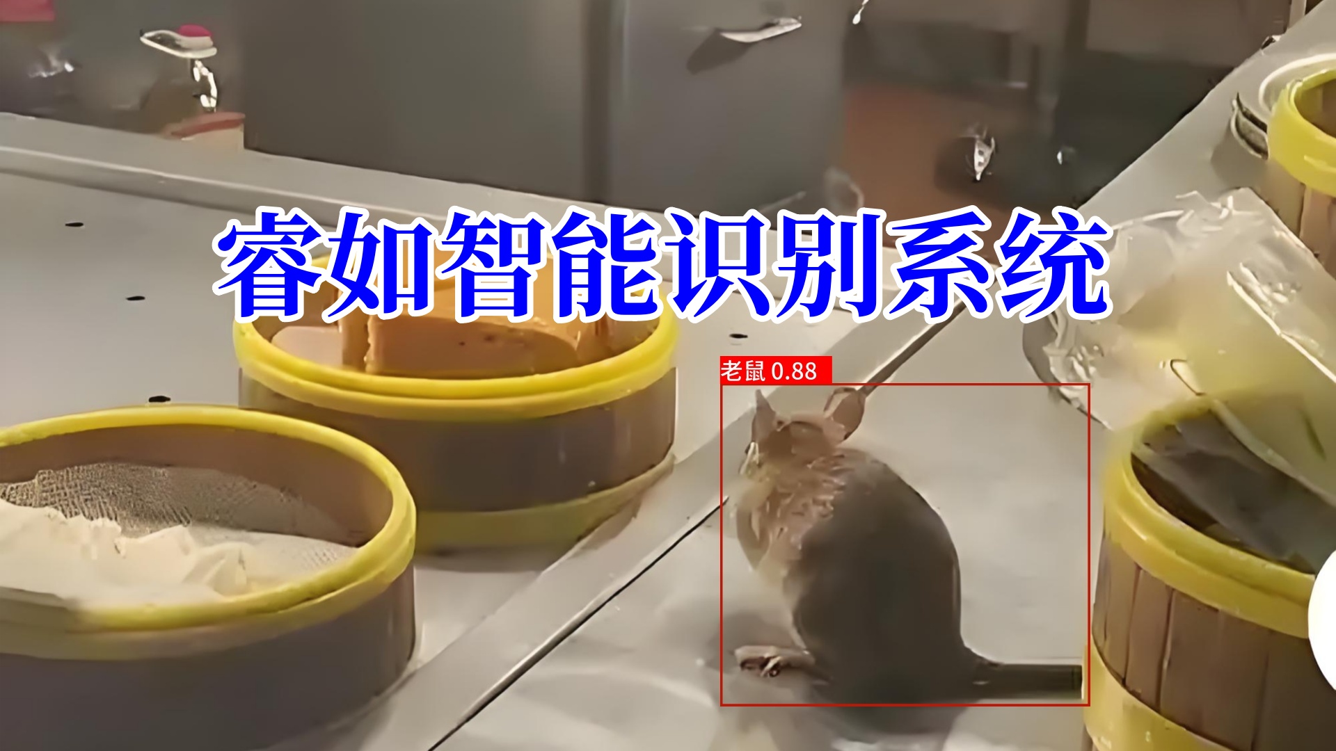 9e5a4d10-579b-426a-a1d8-9cbe8c4cee2f_副本_副本.jpg