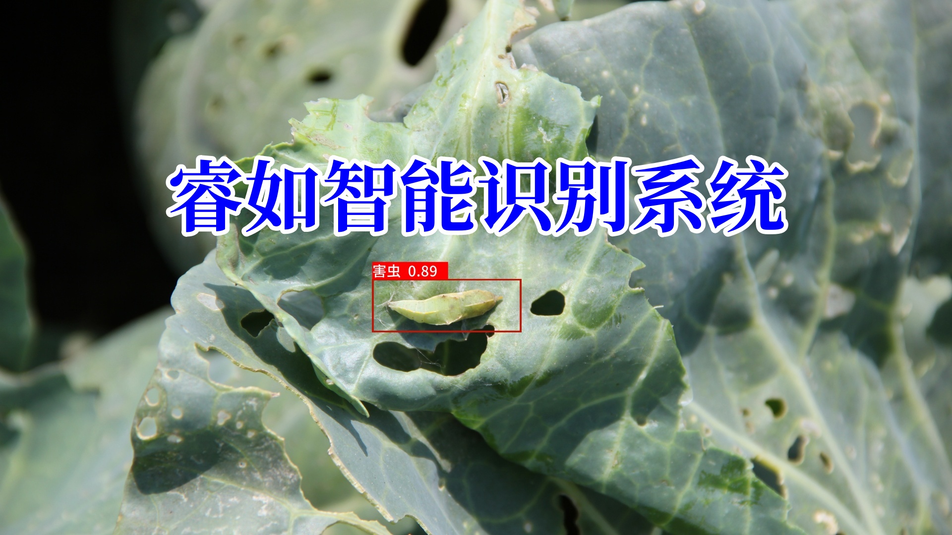 40b60a80bcea6f5b60456f640548ef61_副本_副本.jpg