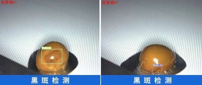 微信图片_20250520121506.jpg