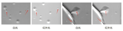 图3.png